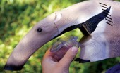 Anteater Bug Vac Anteater Bug Vac