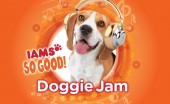 Iams So Good Doggie Jam