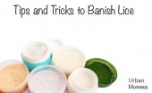 Lice Removal Tips for Treating Head Lice