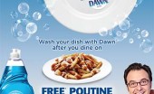 Toronto Dawn Poutine Toronto Dawn Poutine