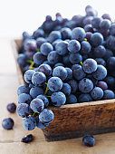 Fruit for pregnancy
