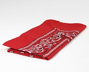 canada day napkins