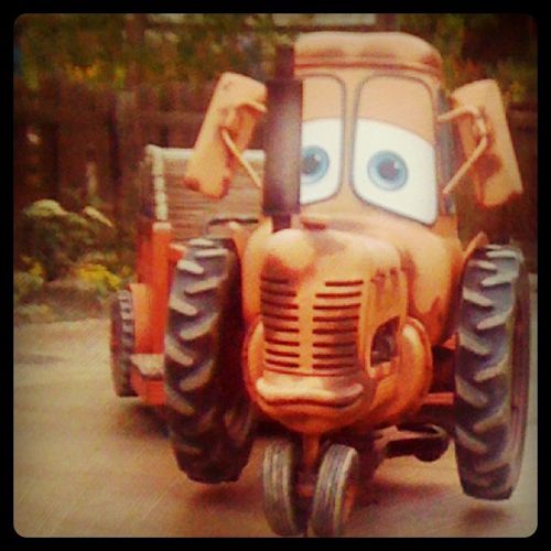 Cars Land Mater