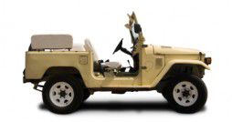 Family Vehicle Tips
