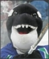 Canucks Fin