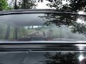 IMG_0061 IMG_0061
