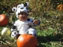 IMG_0271 IMG_0271