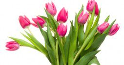 Mothers Day Gift Guide