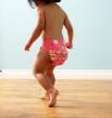 RufflePhotos[1]