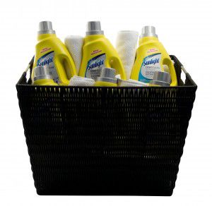 SunlightBasket[1][1]