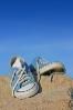 Heatwaves and Babies Kids Safety