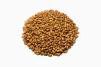 Brown Rice
