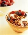 Low Fat Granola