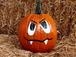 Halloween Howler at Trout Lake