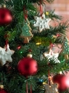 Holiday Saftey Tip for Kids