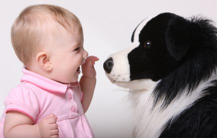 Babies and Dogs