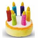 First Birthday Party