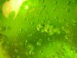 green slime