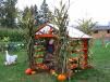 Laity Pumpkin Patch