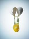 Green Eggs