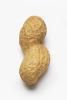 Peanut Allergies