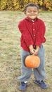 pumpkin patch in the city