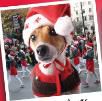 Rogers Santa Clause Parade