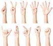 Baby Sign Language