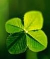 Shamrock party for tots in Vancouver