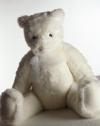 Teddy Bear Day in Burnaby
