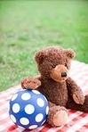Teddy bear picnic Coquitlam