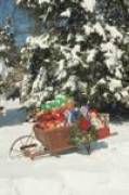 Pioneer Christmas