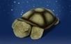 twilight turtle for boys and girls