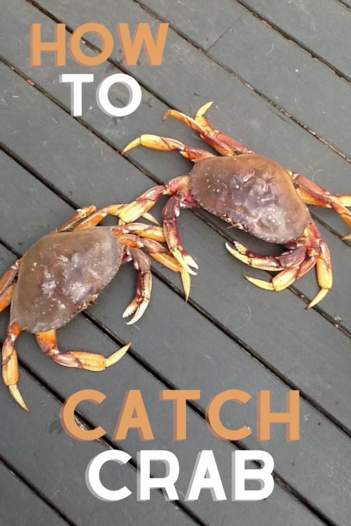Catching Crab