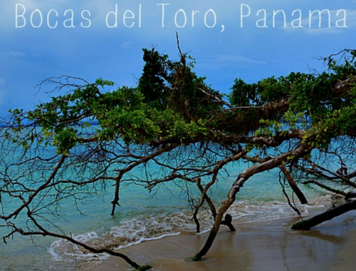 Bocas Del Toro Panama