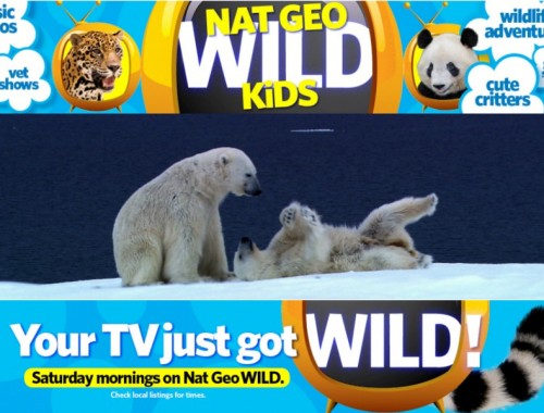 Nat Geo Wild Kids