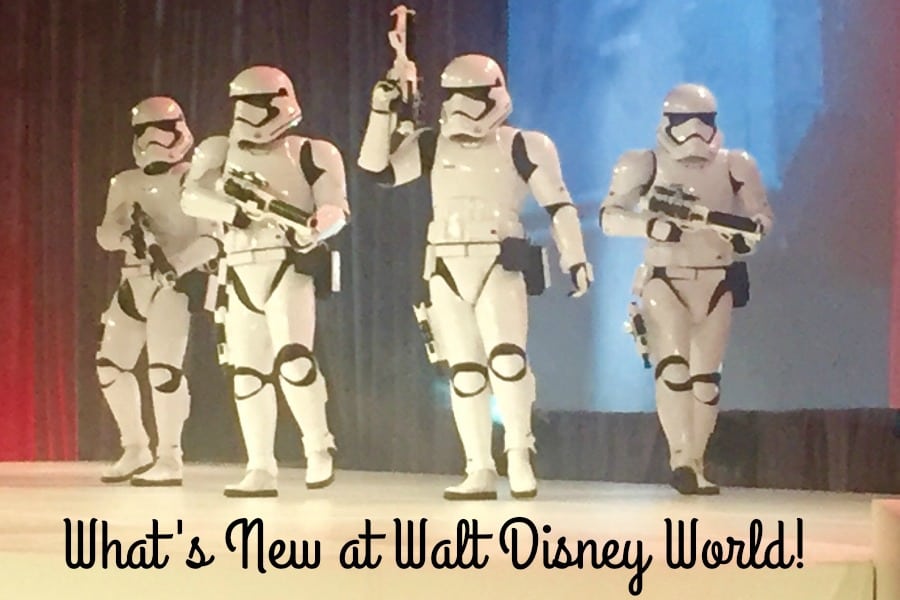 Whats New at Walt Disney World
