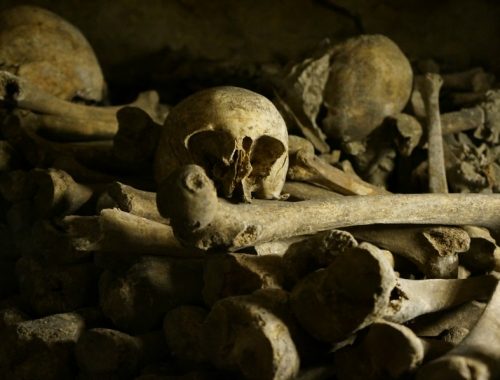 catacomb-bones