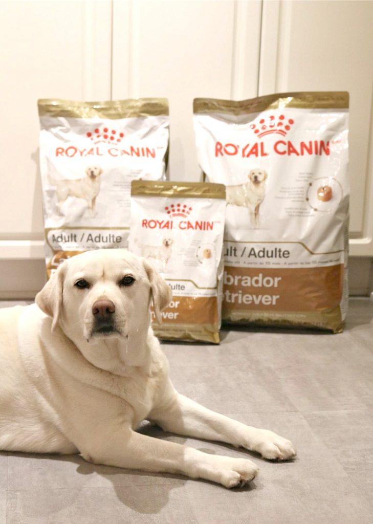 royal-canin-labs