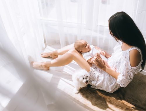 Bringing home Baby When you Have a Pet