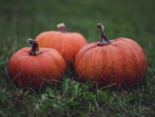 How to treat yourself to a healthy halloween