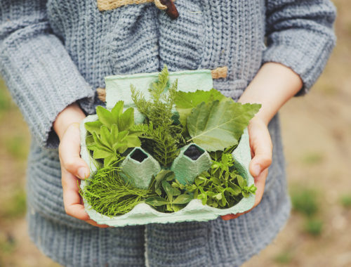 15 Activities for a Day at the Beach