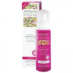 Andalou Cleanser