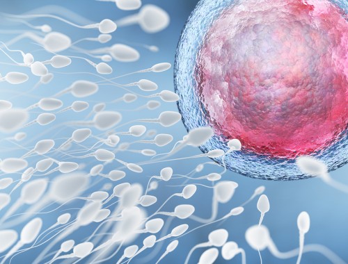 Talking About Sex with your Kids