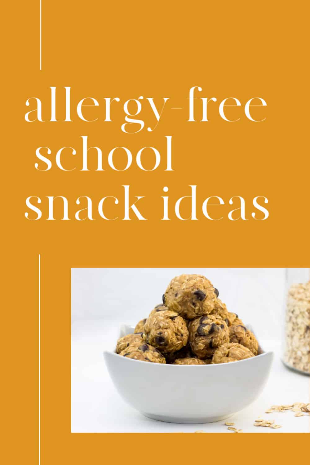 Peanut free school snacks