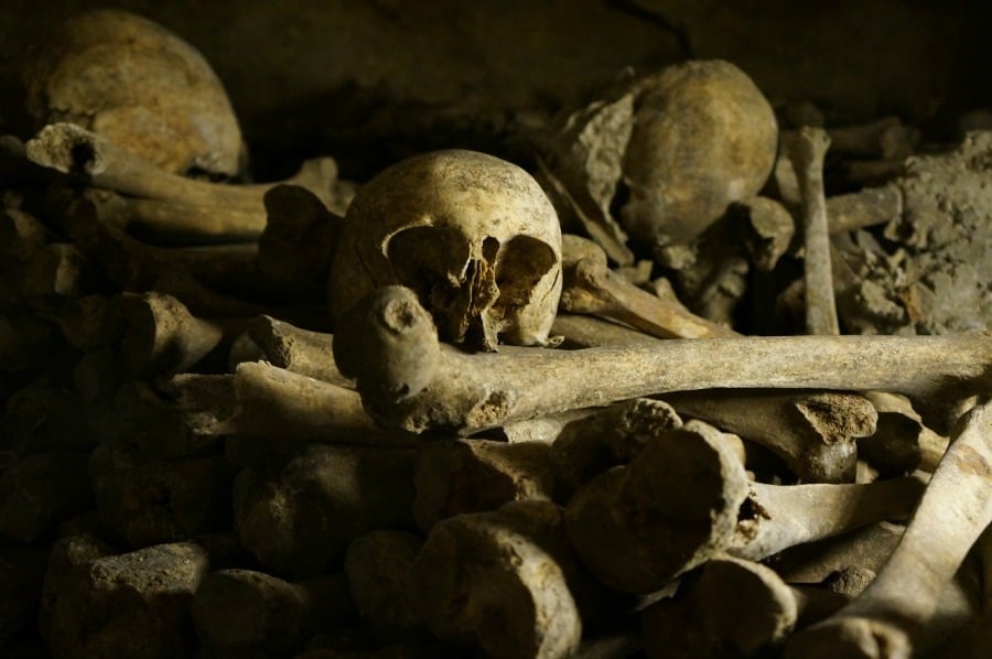 catacomb-bones