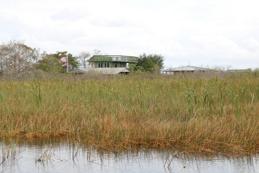 house-in-everglades