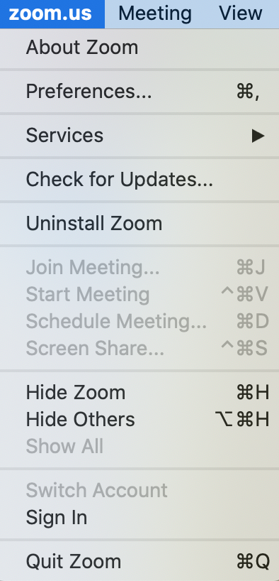 Zoom video meeting settings
